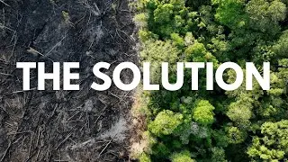 How we help you protect your rainforest or wilderness area.