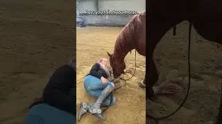 🤡🤡🤡. #horses #equistrian #cowgirls #horseriding #paarden #horse #paardensport #pferde