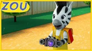 Zou em Português 📷 Zou e a Câmera 📸 Desenhos para crianças