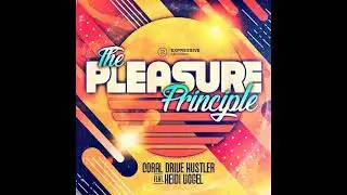 The Pleasure Principle feat Heidi Vogel  - Coral Drive Hustler (Toni Economides Dub)