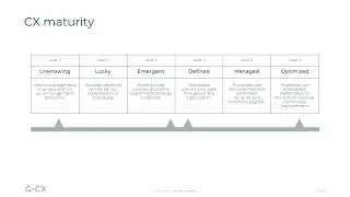 Grow CX maturity