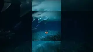 ١٠ يونيو ٢٠٢٤