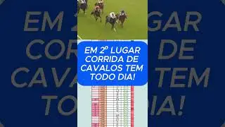 TRADING EM CORRIDA DE CAVALOS #tradingesportivo #horseracing