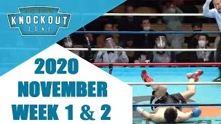 Boxing Knockouts | November 2020 Week 1 & 2 #knockoutzone