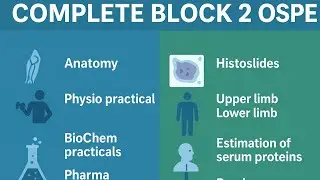 BLOCK 2 COMPLETE OSPE | Anatomy | Physiology | Biochemistry | Pharmacology | Pathology | PEARLS