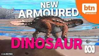 Chile's New Armoured Dinosaur and its Unique Slashing Tail