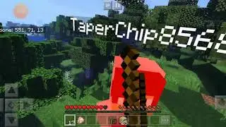 IL MIO PRIMO VIDEO!  MinecraftDuo #1