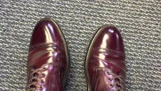J. Crew Alden Shell Cordovan Cap toe boots at 4 years old - quick review.