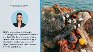 Fisheries Data System - English