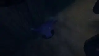 The owls among the sleep