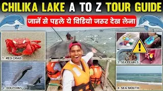 Chilika lake Tour Guide 2026 🔥 | Chilika Lake Odisha | Chilika Lake Pearl Dolphin Red Crab Sea Mouth