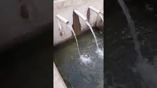 trout fish 🐟 farm in swat