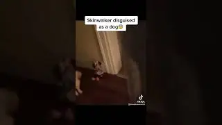 Skinwalker disguised as a dog😰 #shorts