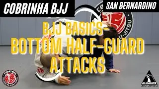 Bottom Half Guard Attacks - BJJ Basics
