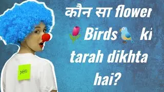 कौन सा flower🌷  Birds🐦 ki तरह dikhta hai? |Amazing Facts😎| flower like bird | Scientific dude