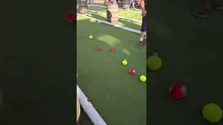Tuesday Night Bocceball Championship at LA Ale Works | May 20, 2025 Highlights!