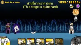 The Battle Cats - Muscle Party (ปาร์ตี้นักกล้ามที่แสนหนักหน่วง)