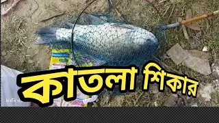 Fishing in pond #fishing competition #katlafish#hookfishing#sk fishing club#village #viral#কাতলা মাছ