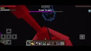 I defeat ender-dragon in minecraft 