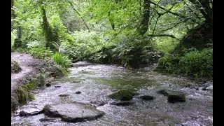 NUF Monthly Reflection June 2020