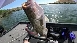 6LB BASS ON A NED RIG (ONTHAREEL)