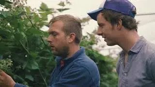 Bramenteler Aart van Wijk | De Fruitigste | Nederlands fruit