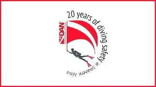 Defining Dive Safety for the PSD