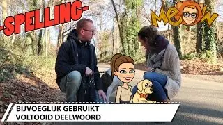 #7 Spelling; 'bijvoeglijk gebruikt voltooid deelwoord'