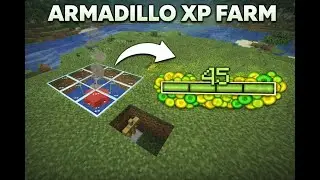 The best armadillo XP farm in Minecraft ( 1.21+  tutorial)