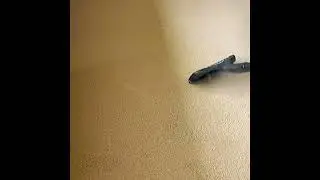 Quality Care Carpet Cleaners in Auburn NY voted #1 Why settle for less 315-255-0178