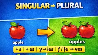⭐SINGULAR → PLURAL (s  |  + es  |  y → ies  |  f / fe → ves)#spellingrules#nouns