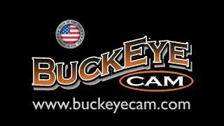 BuckEye Cam Livecam Feature