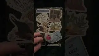 Lofi fast tapping and camera scratching #asmr #relax #triggersforsleep #asmrcameratouching #sleepy