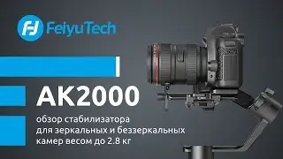 Стабилизатор Feiyu AK2000