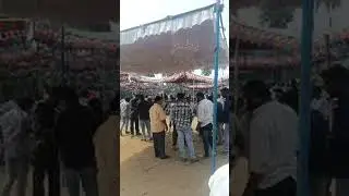 Sankranti kodi pandalu||varmavines is live