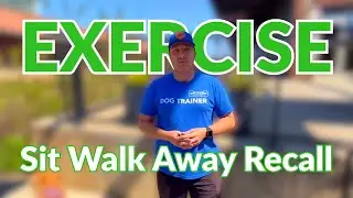 Sit Walk Away Recall Exercise | Dog Training for Focus and Reliability