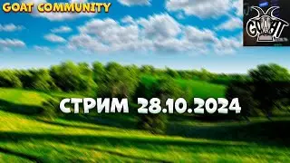 Стрим Goat Community 28.10.2024 (Форекс)