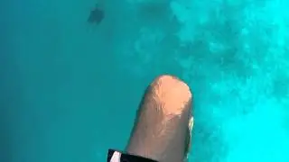 VID00110