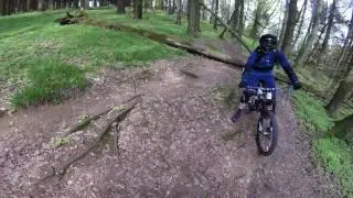K&uuml;rnbergwald &ndash; Friesenegg &ndash; Trailsurfing