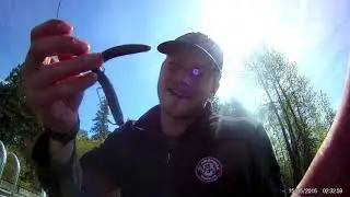 Shawnigan lake bass fishing vancouver island