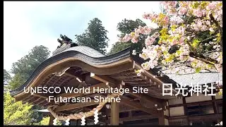 Futarasan Shrine with Cherry Blossoms, UNESCO World Heritage Site         日光神社, 2023
