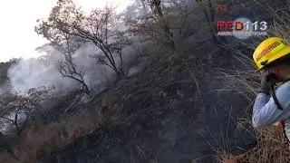 Quemabosques atacan ahora el Cerro de la Cruz