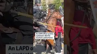 An LAPD officer pushes a protester after he touched a police horse