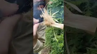Primitive Fire-Starting Technique, Flint & Steel