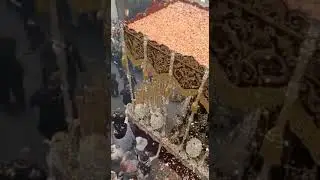 Petalada de la Virgen de los Dolores del Cerro por Tetuán 2023.(Martes Santo.)
