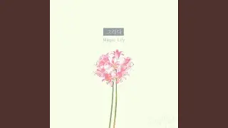 Magic Lily