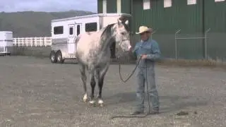 Worming the difficult to worm horse.