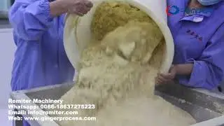 Automatic Ginger Powder Bottle Packing Machine