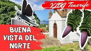 BUENA VISTA DEL NORTE, Тенерифе, Испания