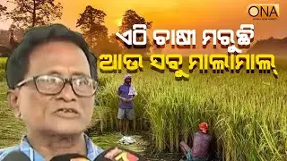 Baranga Villagers Protest CDA's TP Scheme Over Fears of Livelihood Loss || ONA KHABAR ||